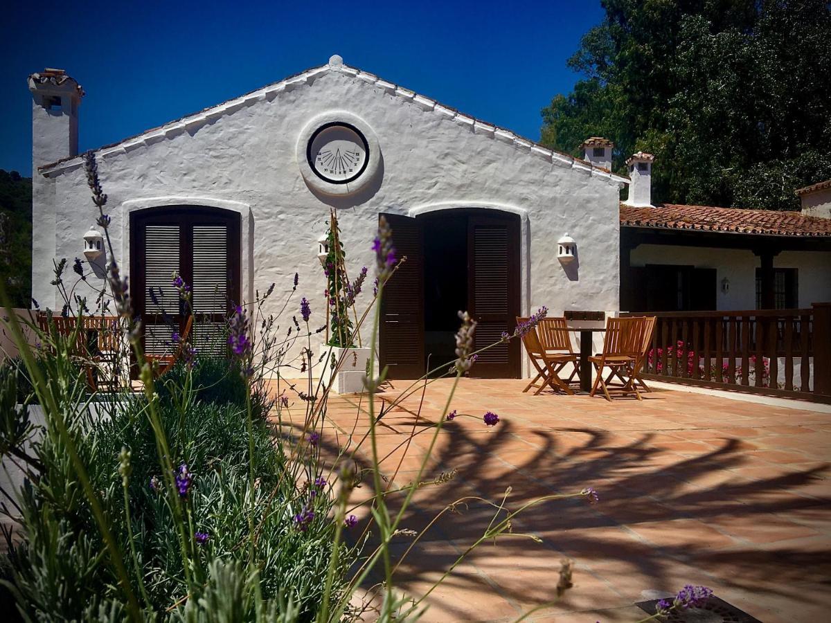 El Molino Estepona Zewnętrze zdjęcie