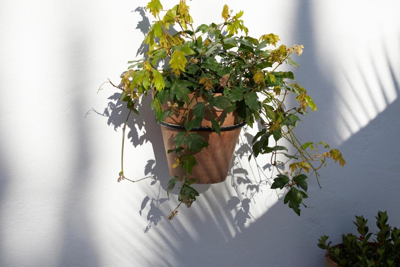El Molino Estepona Zewnętrze zdjęcie