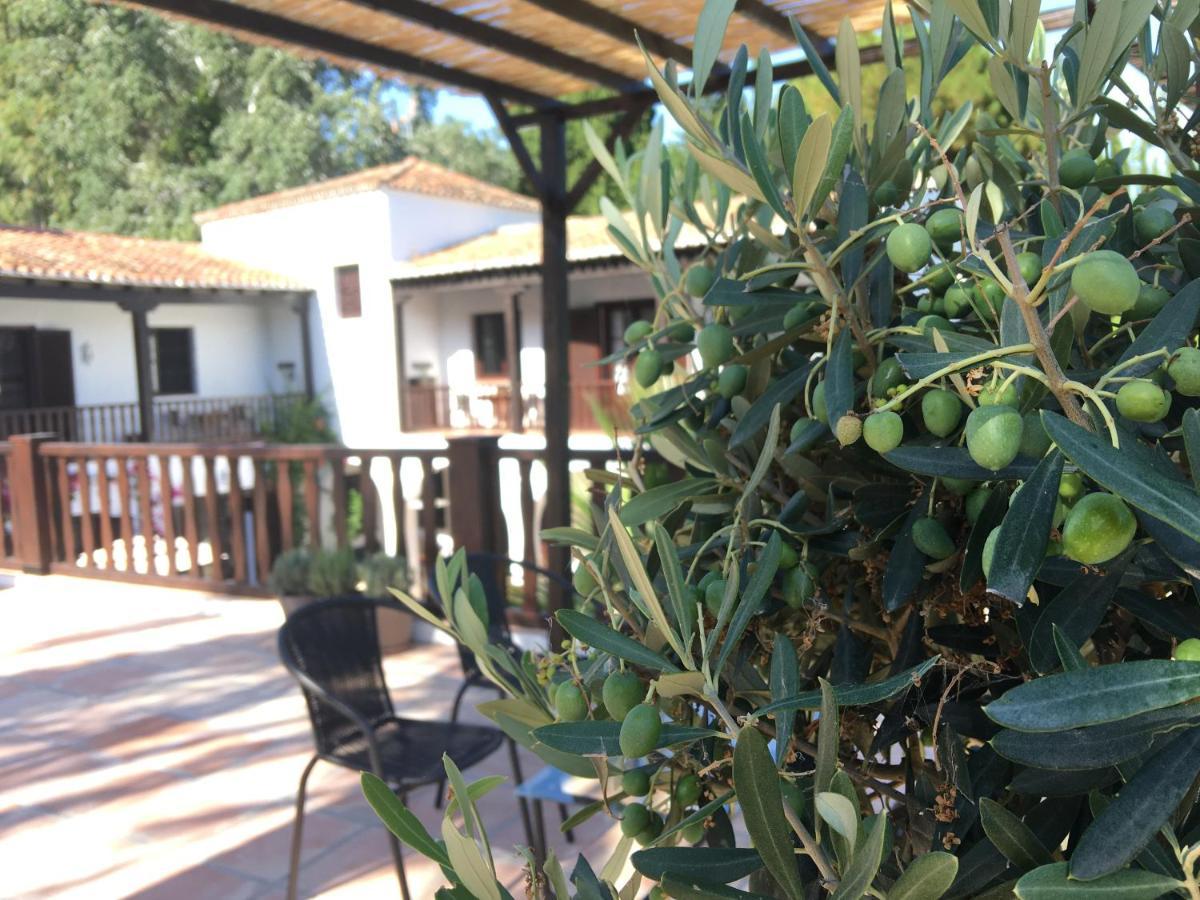 El Molino Estepona Zewnętrze zdjęcie